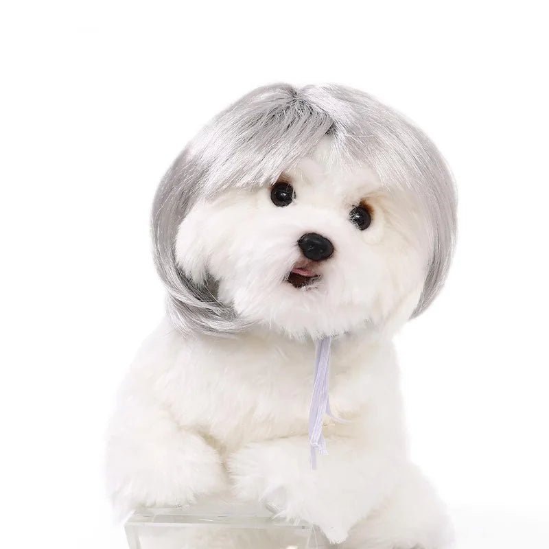 Pet Wig Dog and Cat Spoof Wig Pet Supplies Christmas Pet Accessories Curly Hair Straight Hair Diy Hand Woven Hair Wig Accessorie